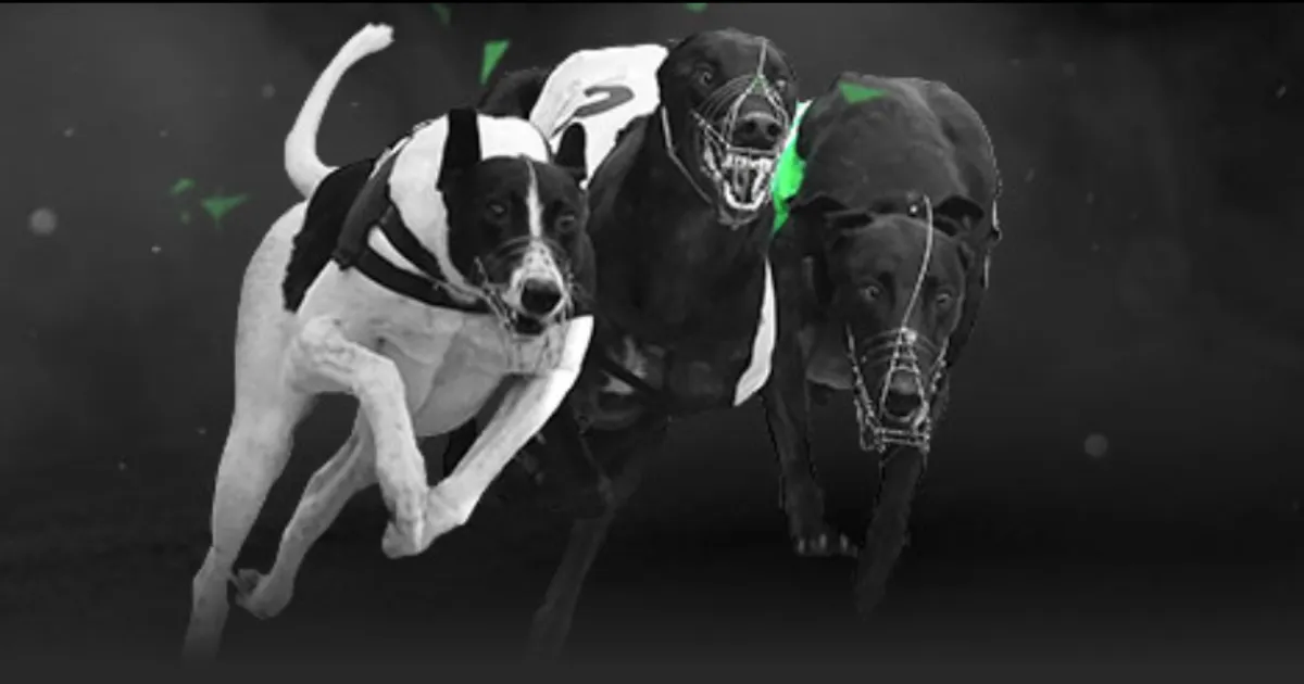 郑钦文迪拜,赛首秀,今夜携手,中国重庆时时彩网,足彩竞猜,重庆时时彩网,体彩竞猜